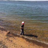 Gab.com Profile Photo