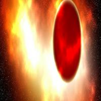 Gab.com Profile Photo