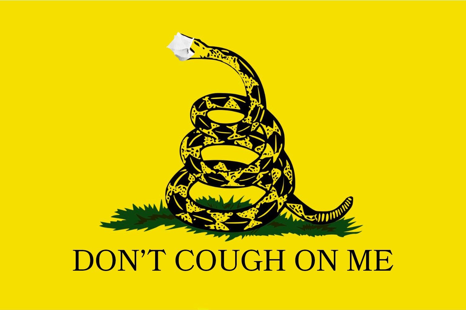 aa5e18c42cf9fe06.jpeg