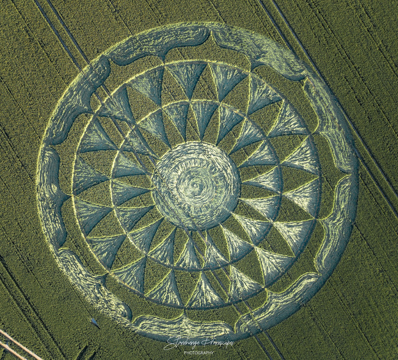 Crop Circles 2020 - Smeathe's Plantation, Nr Ogbourne St George, Wiltshire. Reported 25th June 11fa7b22bb5e4b21