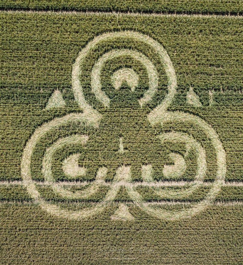 Crop Circles 2020 - Valiis House, Nr Frome, Somerset.  Reported 12th July A754dfdde710acca