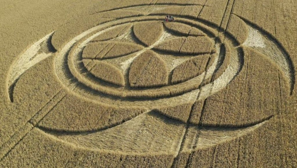 Giant ‘Templar’ Crop Circle Appears Overnight in France 14d48e5c05a826c9