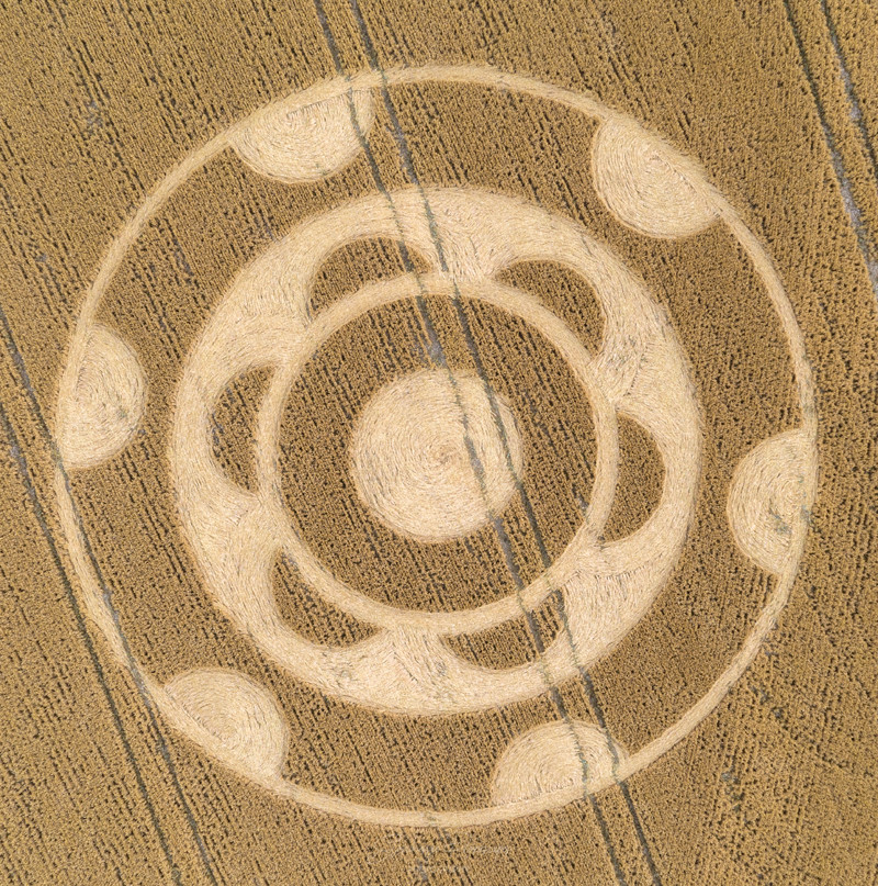 Crop Circles 2020 - Yarnbury Castle, Nr Winterbourne Stoke, Wiltshire.  Reported 26th July 9ae69fdd7d46111d