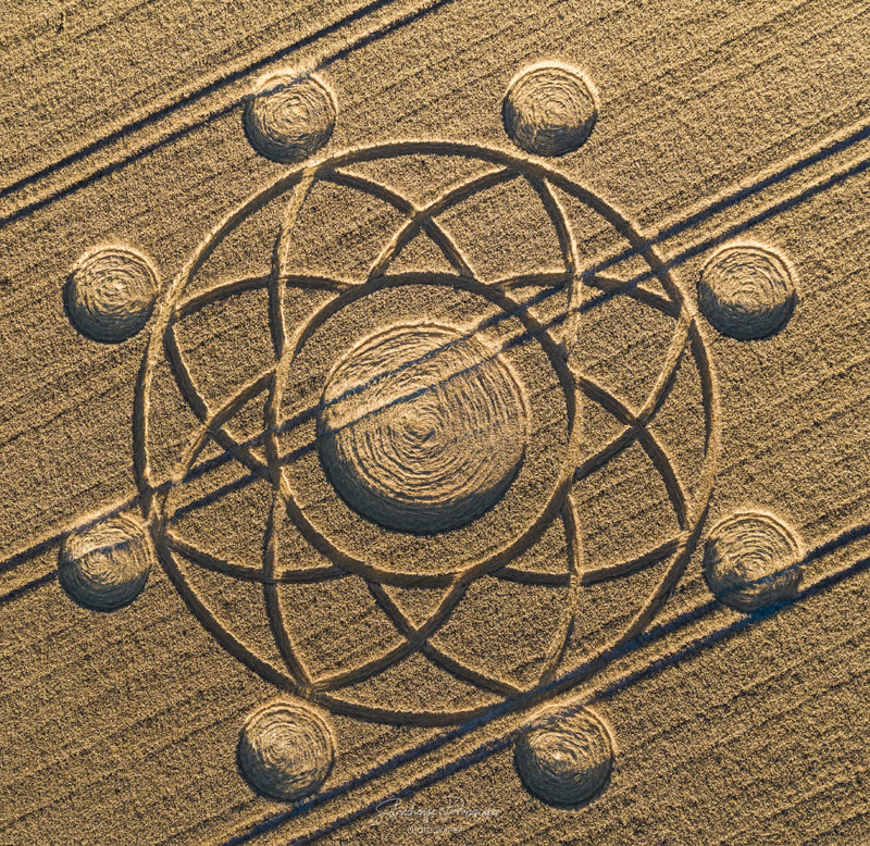 Crop Circles 2020 - Norton Plantation, Nr Heytesbury, Wiltshire. Reported 7th August. A26a4586b6ea8068