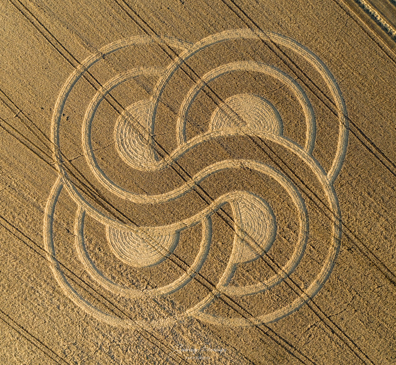 Crop Circles 2020 -  Roundway, Nr Devizes, Wiltshire. Reported 13th September. 3c3c8514b1a045db