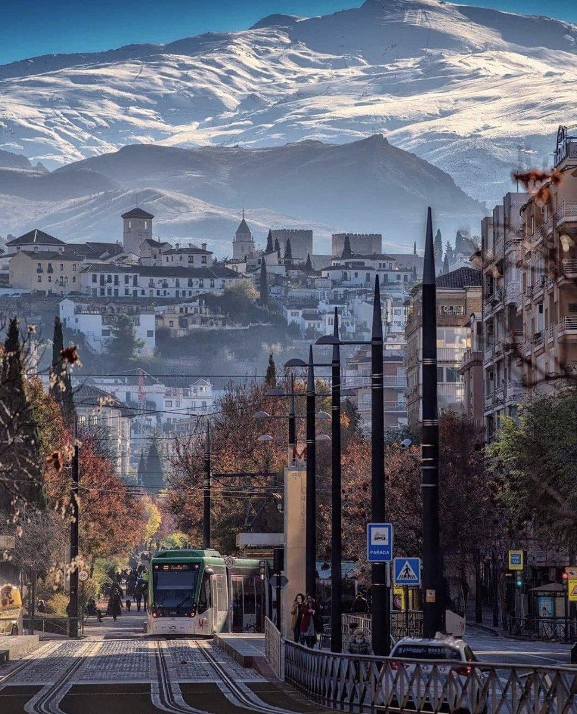 Really cool photo. In the foreground we see a street and a trolley on rails plus trees and foliage. In the middle ground we see urban buildings on a hillside. In the background we see massive, rugged and snowy mountains.